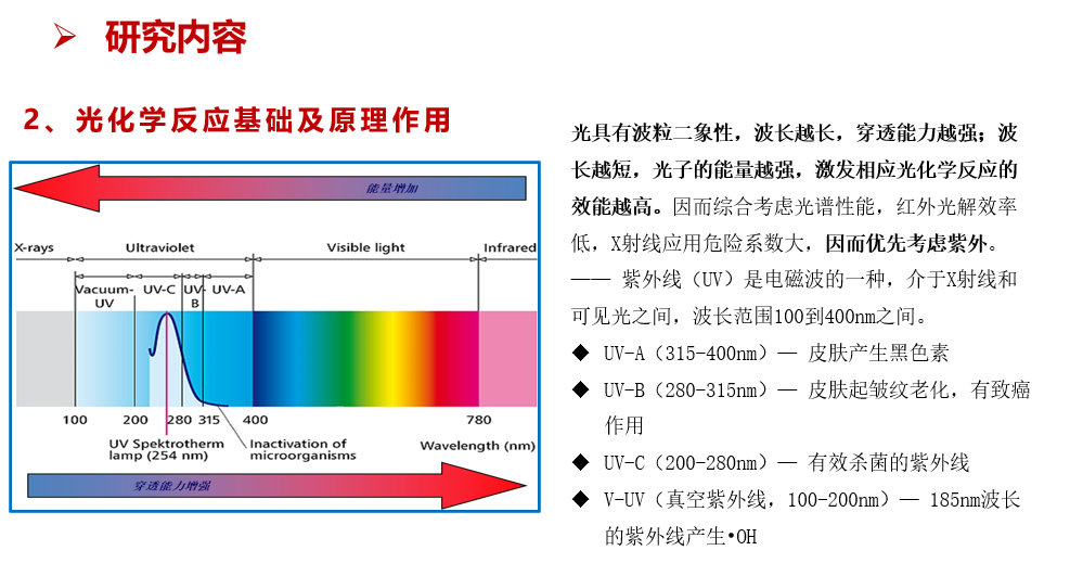 竞猜足球网